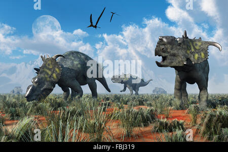 A Herd Of Pachyrhinosaurus Dinosaurs