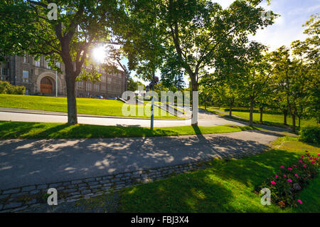 Norwegian University Of Science And Technology Ntnu Trondheim Stock