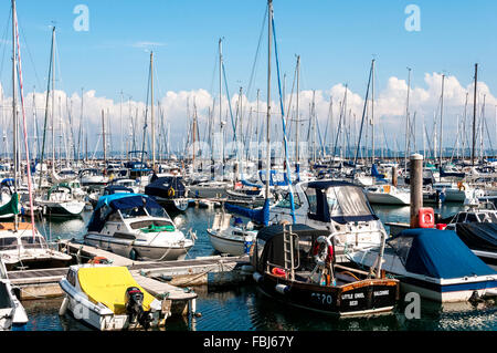 Small fishing and pleasure boats create a forest of masts and rigging berthed in the marina in the picturesque Brixham harbour Stock Photo