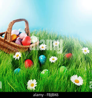 Easter basket with eggs on green meadow with flowers Stock Photo