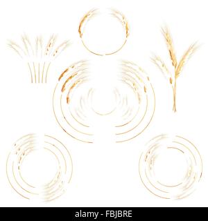 Creative wheat ears. EPS 10 Stock Vector