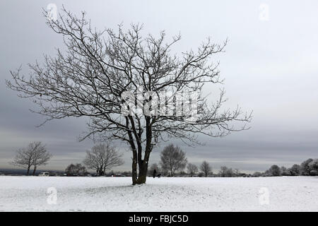 Epsom Downs, Surrey, UK. 17th January 2016. Overnight snowfall left a blanket of white across Epsom Downs which remained throughout the day. As part of the North Downs in Surrey, Epsom Downs is at a slightly higher elevation than the surrounding area and often has a covering when the nearby town is snow free. Stock Photo