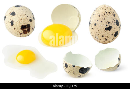 Quail eggs whole and broken collection, isolated on white with clipping path Stock Photo