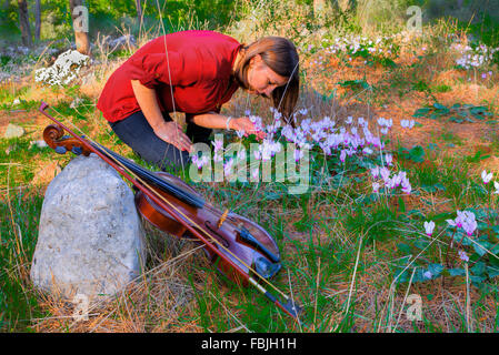 Autumn evening in the forest, sun rays, through the trees, more light forest  glade. Girl has put violin and collects flowers. Stock Photo