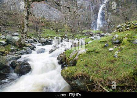 Aber Falls in Snowdonia National Park North Wales after a heavy rainfall.  The falls are 120ft (37m) high. Stock Photo