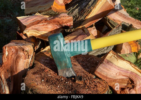 Maul Axe embedded in tree stump surrounded by wood logs Stock Photo