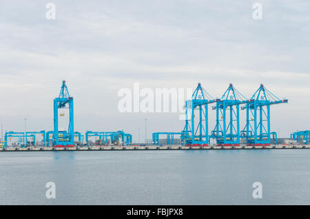 row of large harbor cranes in the rotterdam harbor Stock Photo