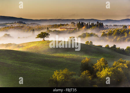 Trees and orchards on the Italian fields. Tuscany autumn day. Stock Photo