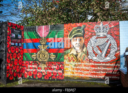 Colonel OBE Tim Collins mural in Castelreagh, East Belfast Stock Photo