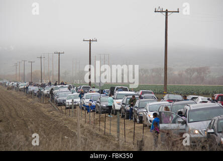 Lompoc, USA. 17th Jan, 2016. Thousands of people watch the launch of Falcon 9 rocket near Vandenberg Air Force Base in California, the United States, on Jan. 17, 2016. U.S. private spacecraft company SpaceX launched on Sunday morning the Jason-3 ocean-measuring satellite, but failed in its attempt to land the spent first stage of its Falcon 9 rocket on a ship in the Ocean. Credit:  Yang Lei/Xinhua/Alamy Live News Stock Photo
