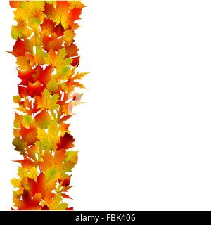 Multicolored autumn leaves of maple . EPS 8 Stock Vector