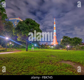 The view of Tokyo Tower at night from a park in Tokyo city, Japan Stock Photo