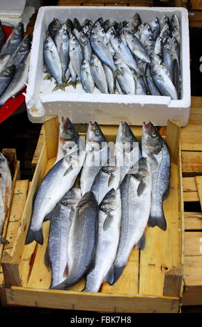 Bulk of fresh sprats on a market stall Stock Photo
