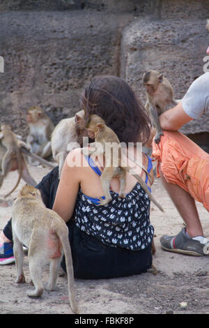 Monkeys climb on tourists during the annual 'monkey buffet' in Lopburi province, some 150 kms north of Bangkok. More than 2,000 Stock Photo