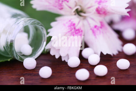 Close up of soem homeopathy globules with herbal flower Stock Photo