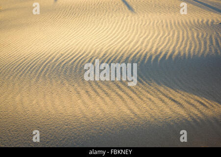 Patterns in the sand Cape May New Jersey. Stock Photo