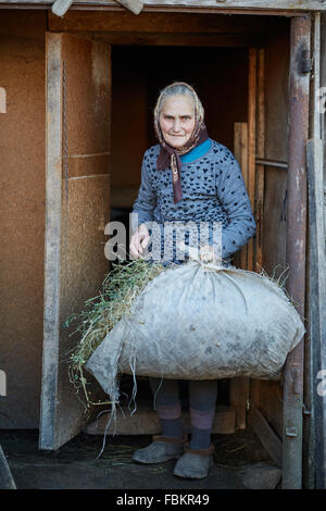 Senior woman with pile of hay at the stable entrance Stock Photo