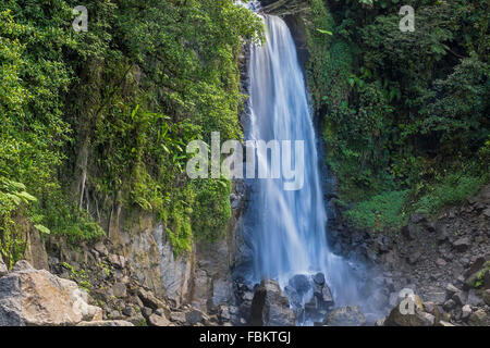 Trafalgar Falls Waterfall Dominica West Indies Stock Photo