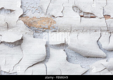 Old white colored dyes on the wood Stock Photo