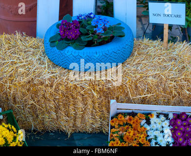 Flowers and plant in old tire painted pastel color on a bale of hay in public park Stock Photo