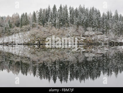 Loch Ard winter reflections after snowfall - a light dusting of snow and still water creating stunningly detailed reflections Stock Photo
