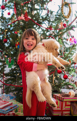 Girl hugging golden retriever puppy dog at Christmas Stock Photo