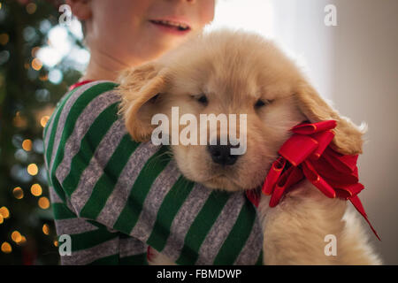 Boy hugging golden retriever puppy dog wearing a bow Stock Photo