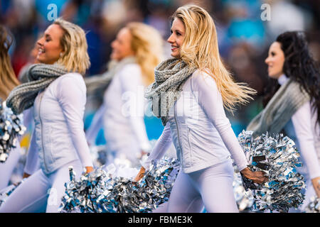 Charlotte, Carolina del Norte, EE.UU. 13 de diciembre de 2015. Las Panteras  de Carolina Topcats cheerleaders durante el juego de fútbol americano de la  NFL entre los Atlanta Falcons y Carolina Panthers