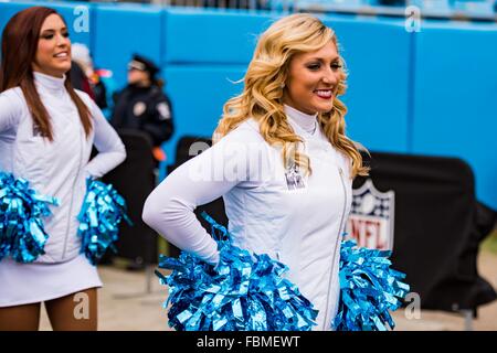 Carolina Panthers Top Cats cheerleaders during the NFL football game  between the Green Bay Packers and the Carolina Panthers on Sunday, Nov. 8,  2015 in Charlotte, NC. Jacob Kupferman/CSM *** Please Use