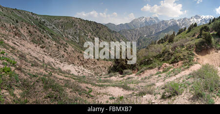 Panorama of Chimgan mountains, Uzbekistan, on a sunny day Stock Photo