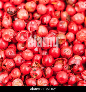square food background - pile of red pepper peppercorns Stock Photo