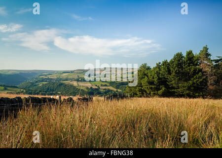 View from the edge of Erringden Moor, above Mytholmroyd in West Yorkshire, England. Stock Photo