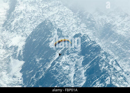 Paraglider pilot soaring high over the Chamonix valley with snow dusted flanks of Mt Blanc Massif behind Stock Photo