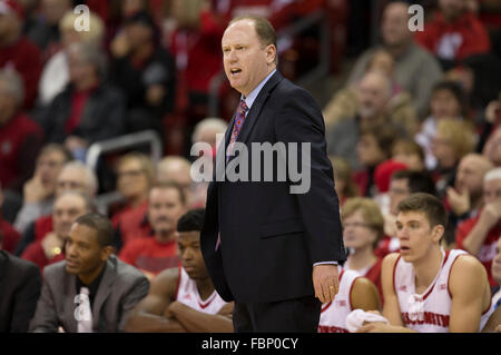 Madison, WI, USA. 17th Jan, 2016. Wisconsin coach Greg Gard looks on during the NCAA Basketball game between the Michigan State Spartans and the Wisconsin Badgers at the Kohl Center in Madison, WI. Wisconsin defeated Michigan State 77-76. John Fisher/CSM/Alamy Live News Stock Photo