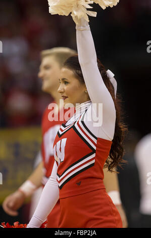 Madison, WI, USA. 17th Jan, 2016. Wisconsin cheerleader entertains crowd during the NCAA Basketball game between the Michigan State Spartans and the Wisconsin Badgers at the Kohl Center in Madison, WI. Wisconsin defeated Michigan State 77-76. John Fisher/CSM/Alamy Live News Stock Photo