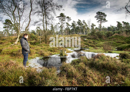 Man standing by a frozen pond near Blackdown - South Downs National Park, Sussex, England Stock Photo