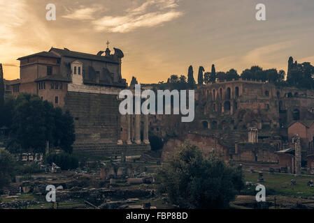 Rome, Italy: The Roman Forum Stock Photo