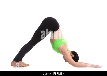 Halona Yoga ???? on Instagram: Sirsasana | An efficient asana for hair skin  and health: Sequence to headstand | … | Headstand yoga, Dolphin pose yoga,  Yoga postures