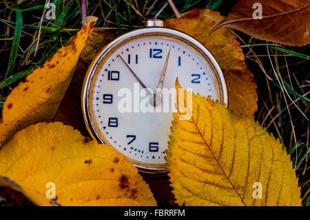 Vintage Clock Among Autumn Leaves Stock Photo