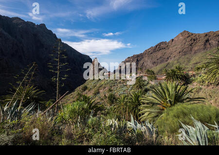 The village of Masca hidden in the Masca barranco on the west coast of Tenerife above the Gigantes cliffs, Canary Islands, Spain Stock Photo