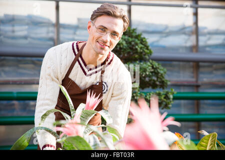 Happy male florist in apron and glasses working with beautiful pink flowers in garden center Stock Photo