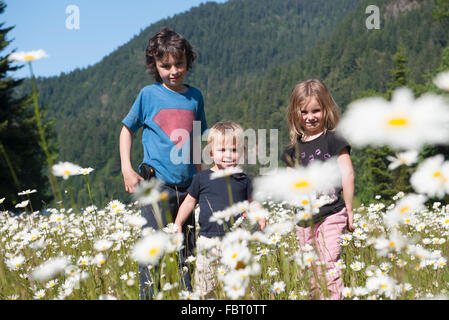 Children in field of daisies Stock Photo