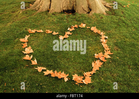Heart made from leaves in a meadow Stock Photo