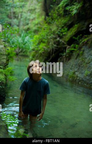 Boy wading in stream, looking up in awe Stock Photo