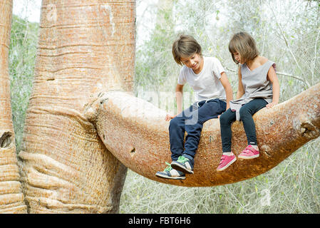 Children sitting together on baobab tree branch Stock Photo