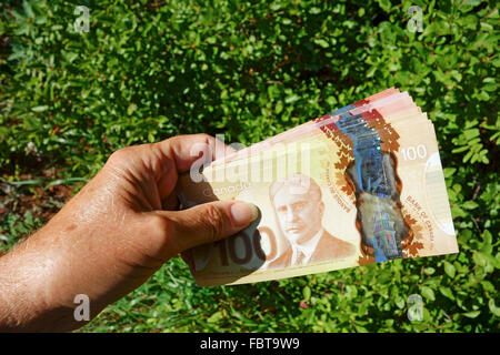 A stack of Canadian 100 dollar bills held in a hand in front of a hedge Stock Photo