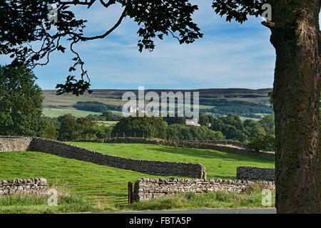 Looking across Wensleydale to Castle Bolton, North Yorkshire, England, UK Stock Photo