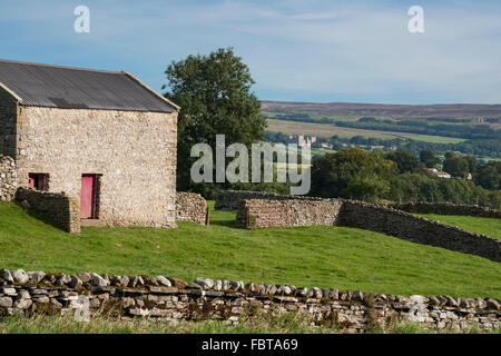 Looking across Wensleydale to Castle Bolton, North Yorkshire, England, UK Stock Photo