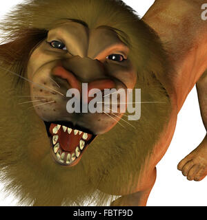 curious lion Stock Photo