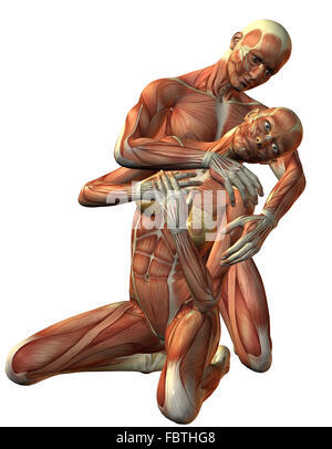 medicine, anatomy, man and woman, muscle layers, anatomic Stock Photo